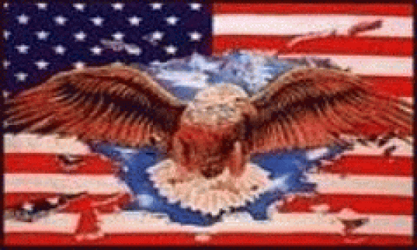 Flagge USA mit Adler 90 x 150 cm