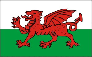 Flagge Wales 200 x 300 cm Marinflag M/I