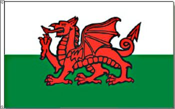 Flagge Wales 90 x 150 cm