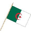 Stockflagge Algerien (VE 10 Stück) 30 x 45 cm