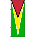 Flagge Guyana 200 x 80 cm