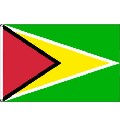 Flagge Guyana 90 x 150 cm