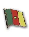 Anstecknadel Kamerun (VE 5 Stück) 2,0 cm