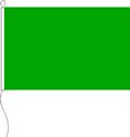 Flagge Farbe grün 100 x 100 cm