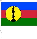 Flagge Neukaledonien 120 x 200 cm