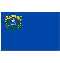 Flagge Nevada (USA) 90 x 150 cm