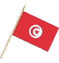 Stockflagge Tunesien ( VE 10 Stück ) 30 x 45 cm
