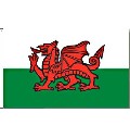 Flagge Wales 90 x 150 cm