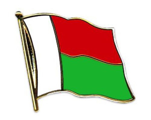 Madagaska Anstecknadel