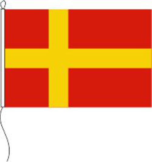 Finnlandschweden (inoffiziell) - Querformatflagge