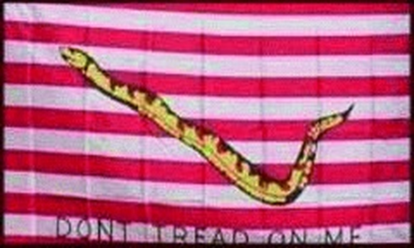 First Navy Jack (USA) - preiswerte Alternative: 150 x 90 cm
