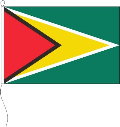 Guyana - Querformatflagge