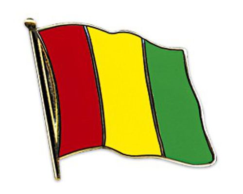 Guinea Anstecknadel