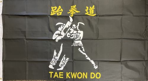 Taekwondo - preiswerte Alternative 150 x 90 cm - Q
