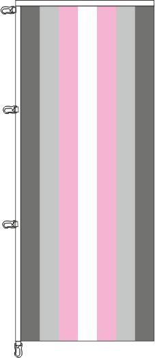Demigirl Pride - Auslegerflagge
