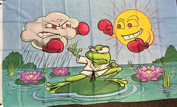 Wetterfrosch - preiswerte Alternative: 150 x 90 cm