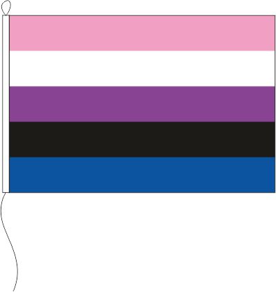 Genderfluid Pride - Querformatflagge