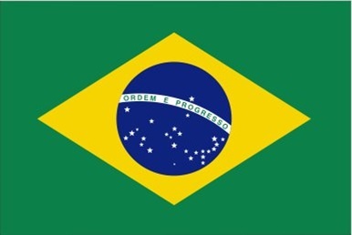 Brasilien - Autofahne