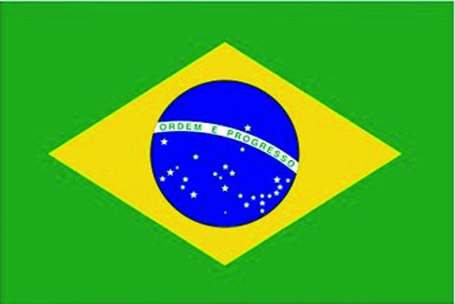 Brasilien - Autofahne