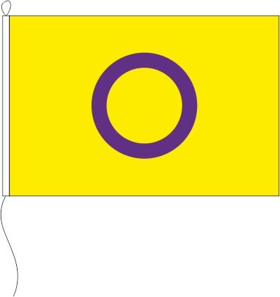 Intersex Pride - Querformatflagge
