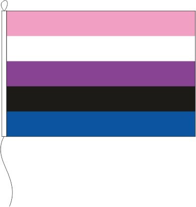 Genderfluid Pride - Querformatflagge