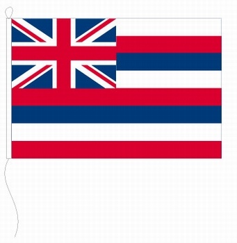 Hawaii (USA) - Querformatflagge