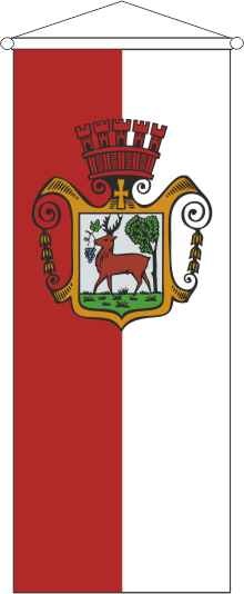 Obernburg am Main - Bannerfahne