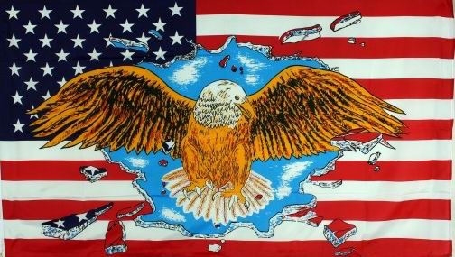 USA mit Adler - preiswerte Alternative: 150 x 90 cm