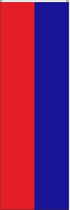 Farbe rot/blau 100 x 300 cm - Schnäppchen