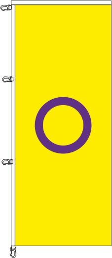 Intersex Pride - Auslegerflagge