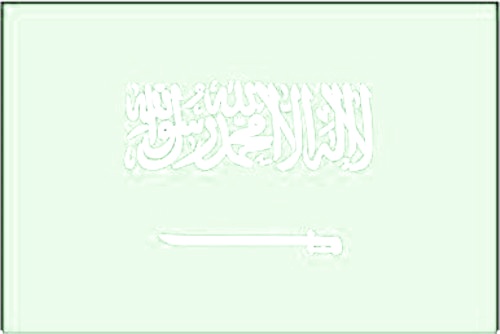 Saudi Arabien - Autofahne