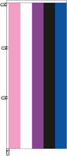 Genderfluid Pride -  Auslegerflagge