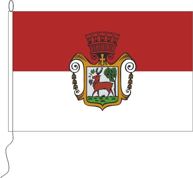 Obernburg am Main - Querformatflagge