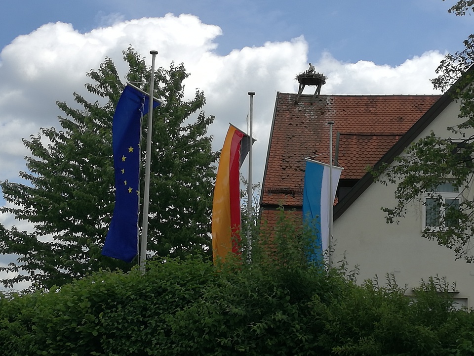 Logo Fahne - Digitaldruck - Bannerfahne