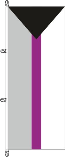 Demisexuelle Pride - Hochformatflagge