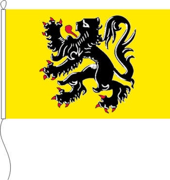 Flandern (Belgien) - Querformatflagge