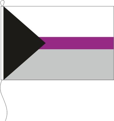 Demisexuelle Pride - Querformatflagge