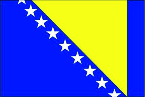 Bosnien-Herzegowina - Autofahne