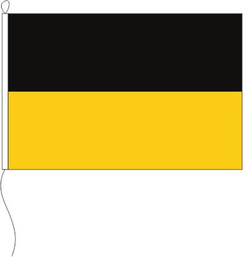 Baden-Württemberg ohne Wappen - Querformatflagge