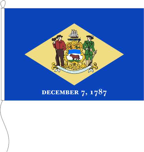 Delaware (USA) - Querformatflagge