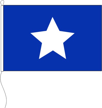 Brasilien Zollflagge - Querformatflagge