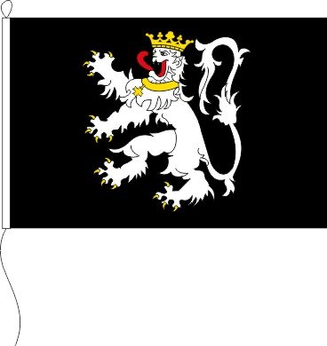 Gent (Belgien) - Querformatflagge