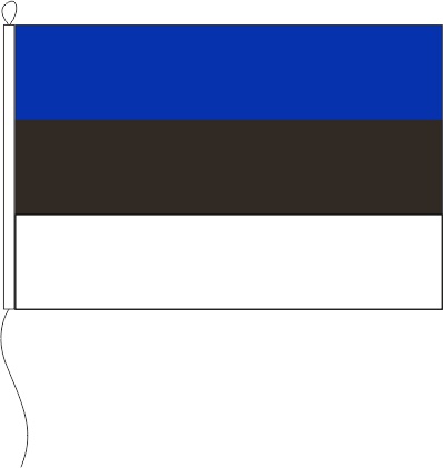 Estland - Querformatflagge