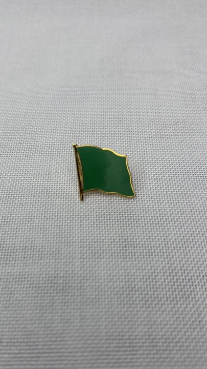 Libyen (1977-2011) Anstecknadel