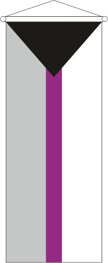 Demisexuelle Pride - Bannerfahne