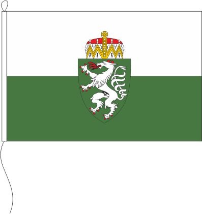 Steiermark (Österreich) - Querformatflagge