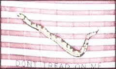 First Navy Jack (USA) - preiswerte Alternative: 150 x 90 cm