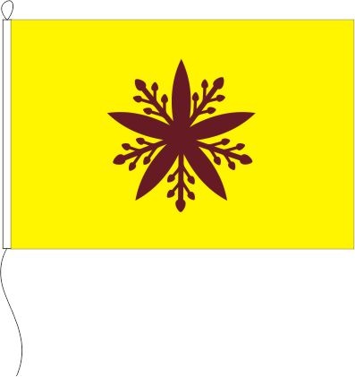 Mandschurei Kriegsflagge - Querformatflagge