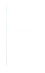 Argentinien mit Wappen (1 VE = 50 Stück) - Käsepicker