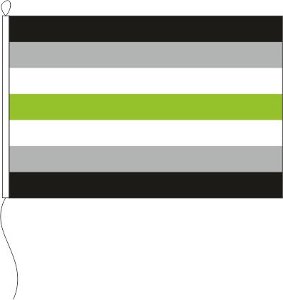 Agender Pride - Querformatflagge